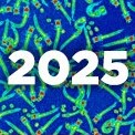 Happy New Year 2025!