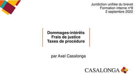 8th internal training on UPC: Damages, Court costs, Procedural fees